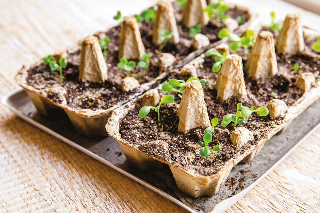 Reduce, Reuse, Recycle - Visual Media Association